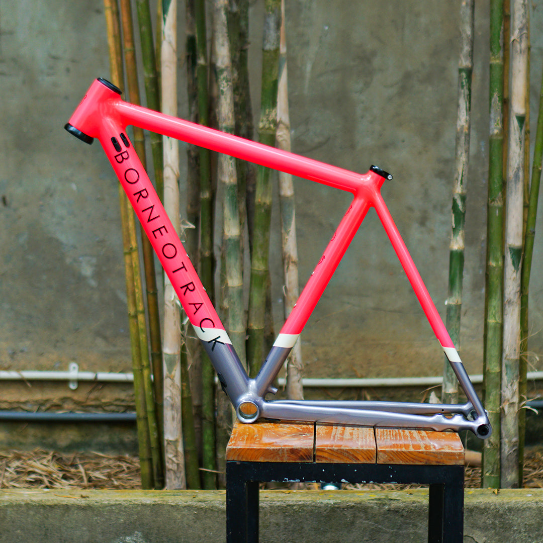 Borneotrack Frame Set RB Disc Size S