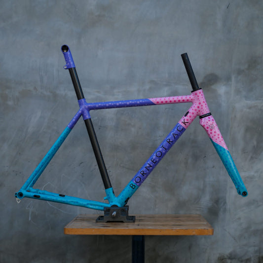 Borneotrack Road Bike Frameset